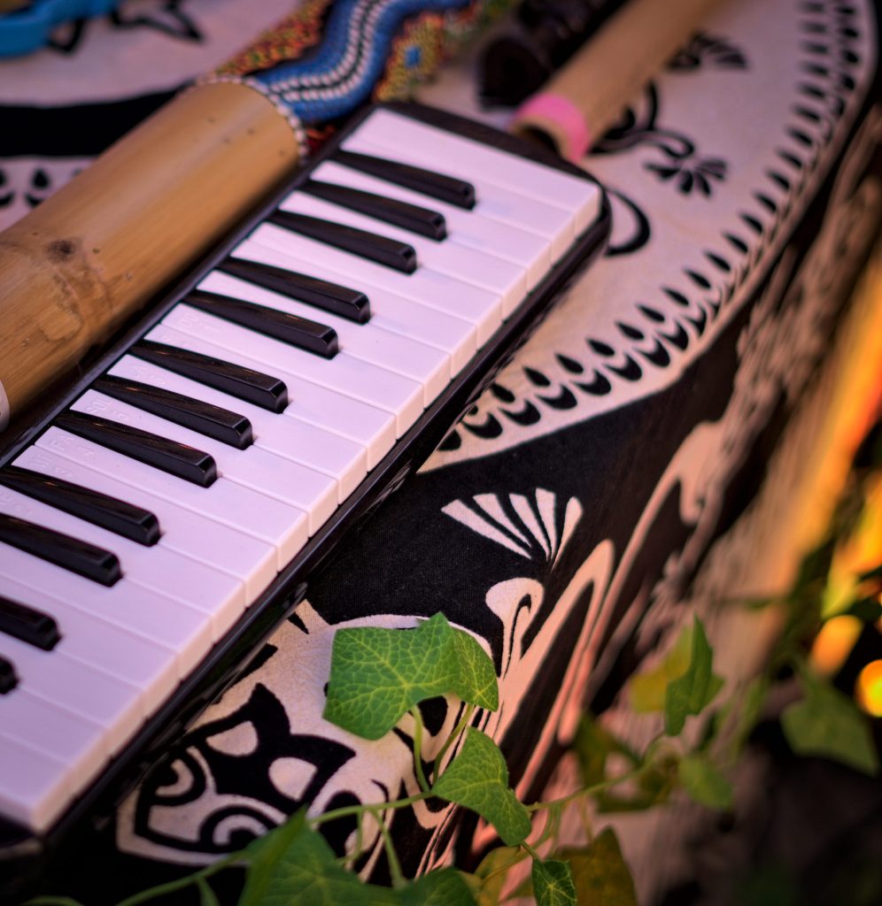 Close-up of a small keyboard on a patterned cloth among the instruments on the table, with ivy in the foreground