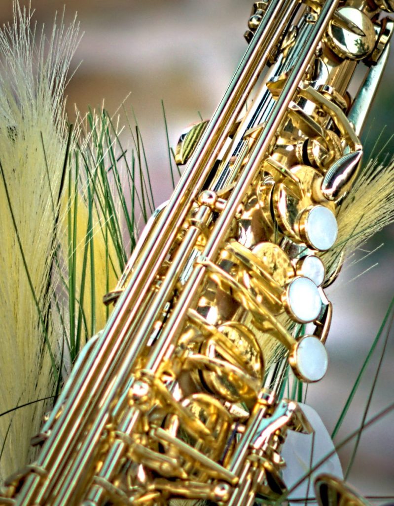 Close-up of the keys of a gold alto saxophone among ornamental grasses